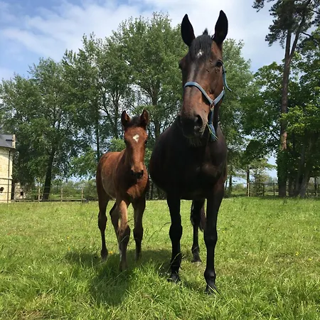 La Maison D'Eugénie, Gîte Vaugoubert * Saint-Germain-de-Varreville