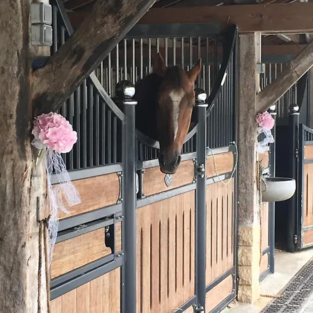 Дом отдыха Du Haras De Vaugoubert Saint-Germain-de-Varreville