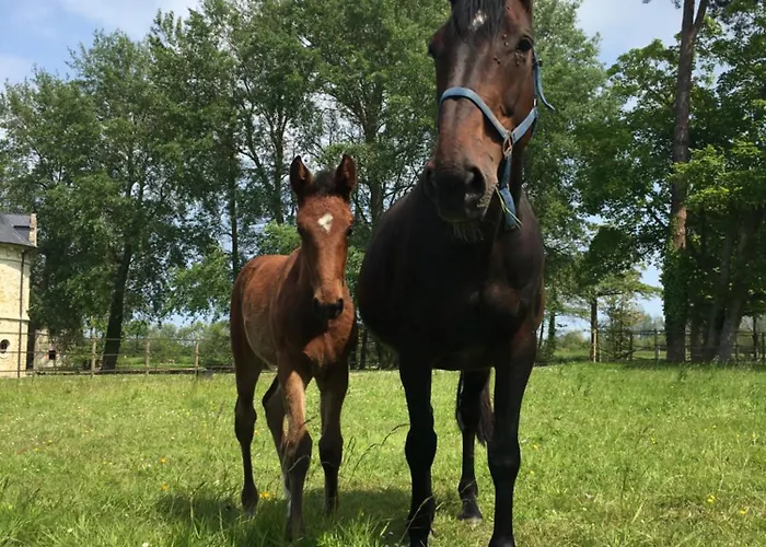 Vaugoubert * Saint-Germain-de-Varreville